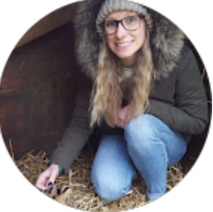 screenshot 2025 11 12 at 12.22.52